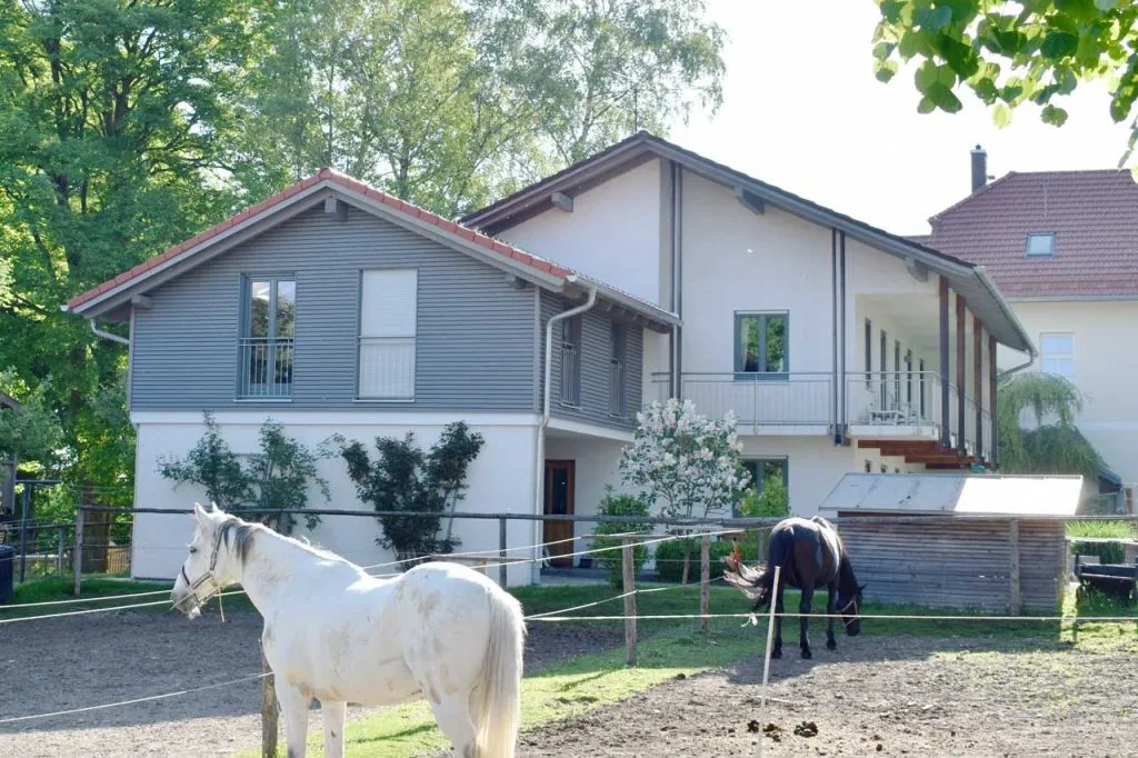 Seitenansicht der Garage mit Aufstockung, Haus im Hintergrund, Pferde im Garten im Vordergrund